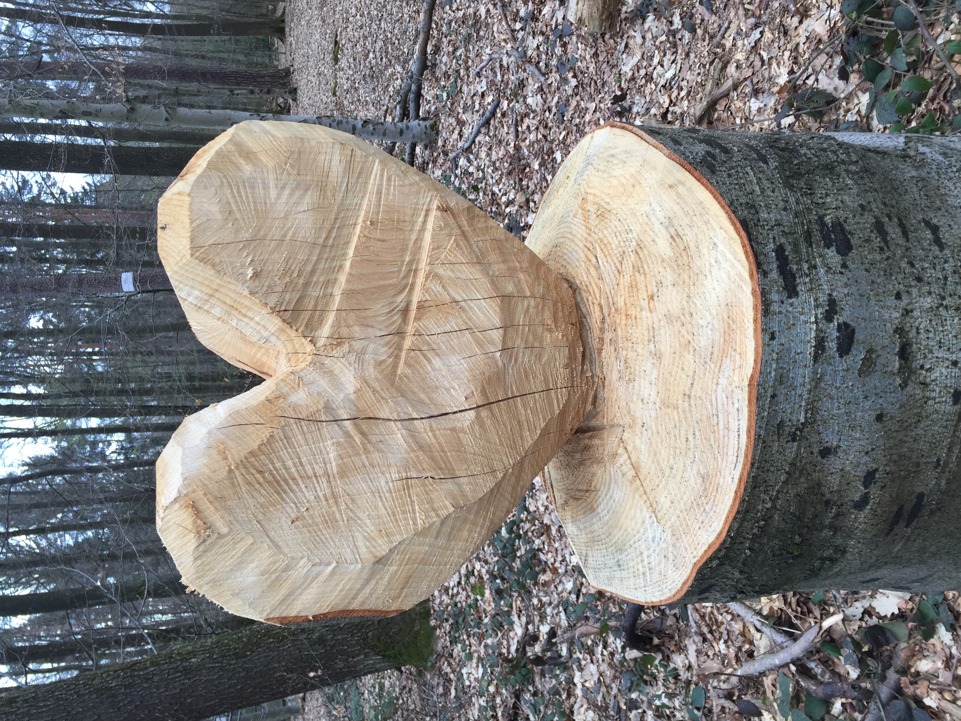 Ein aus einem Holzstumpf herausgeschnitztes Herz