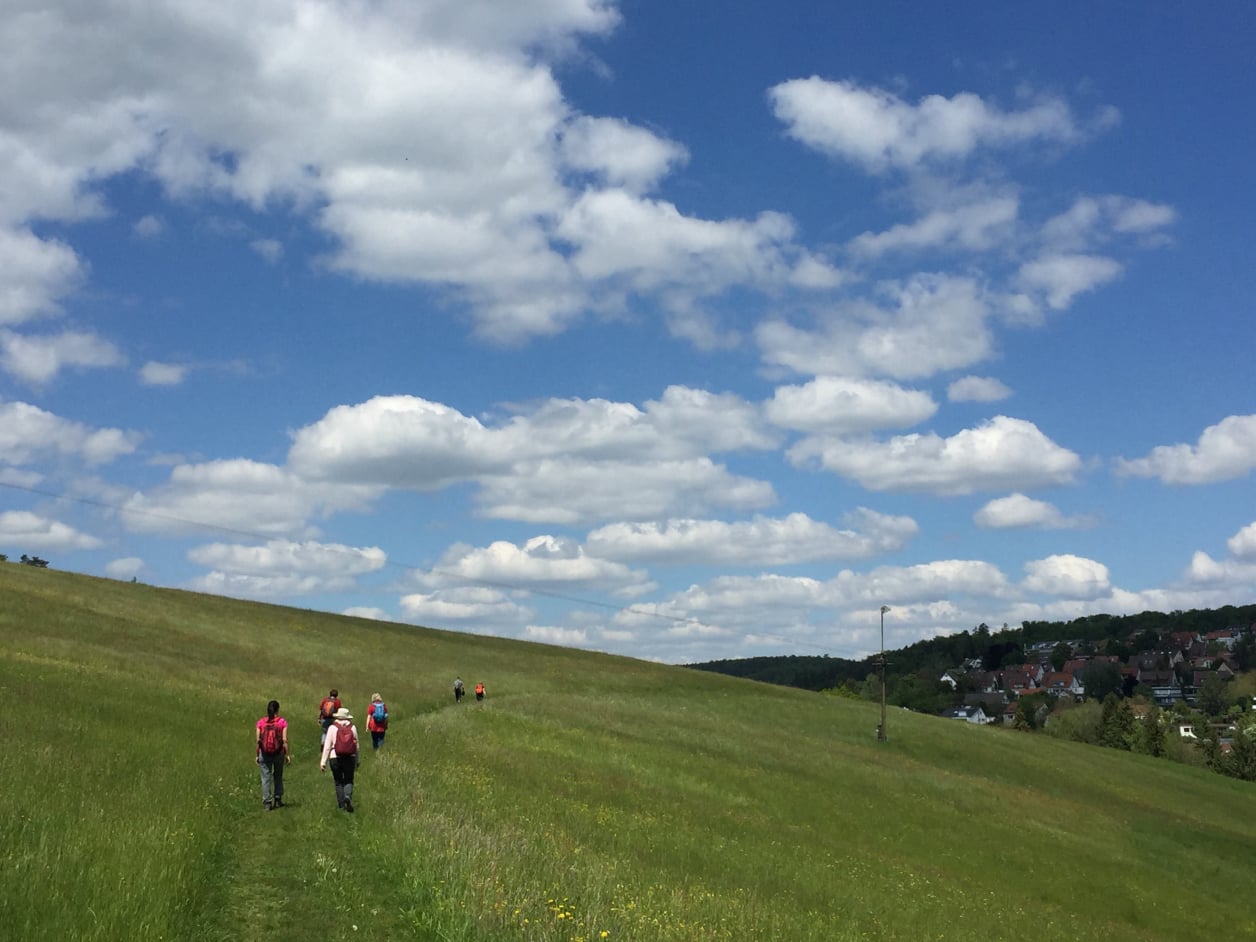 Menschen wandern über eine große Wiese